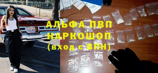 ешки Белокуриха