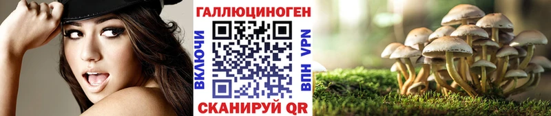 где найти Верея Псилоцибиновые грибы MAGIC MUSHROOMS
